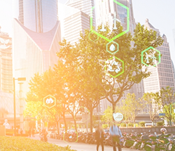 Environment Development and Sustainability