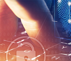 Digital Transformation of Police
