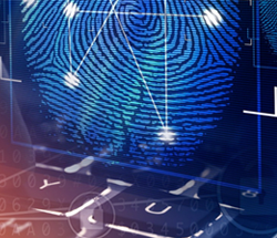 Digital Transformation of Police