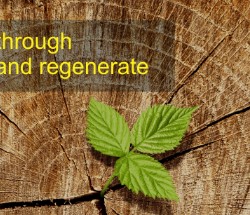 Waste to Energy Technology