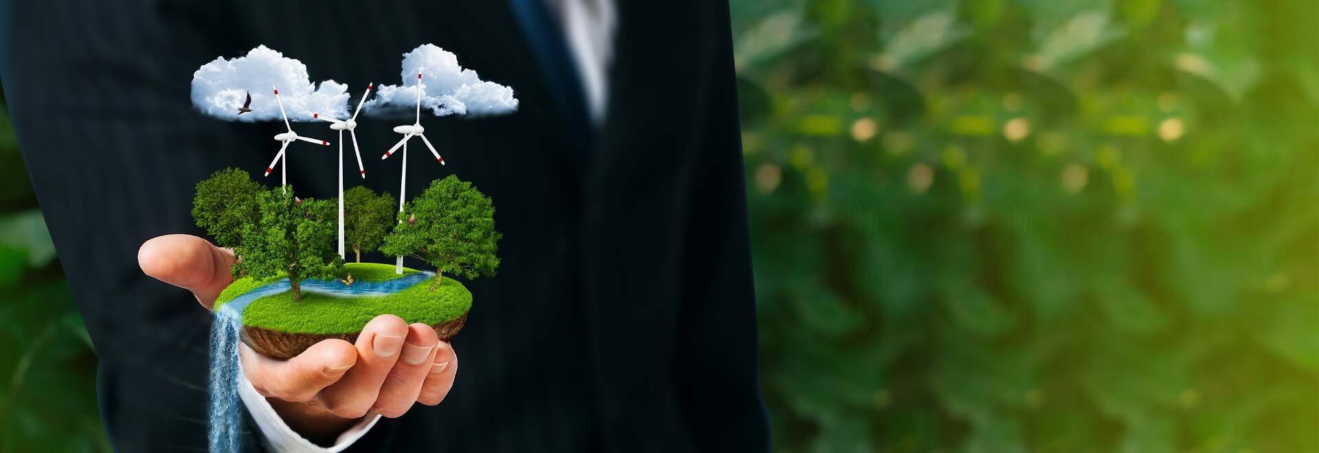 Renewable Energy Solutions