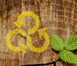 Waste Management Solutions