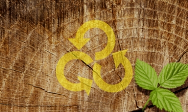 Solid Waste Recycling Solutions