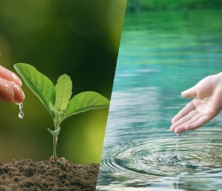Smart Water Management
