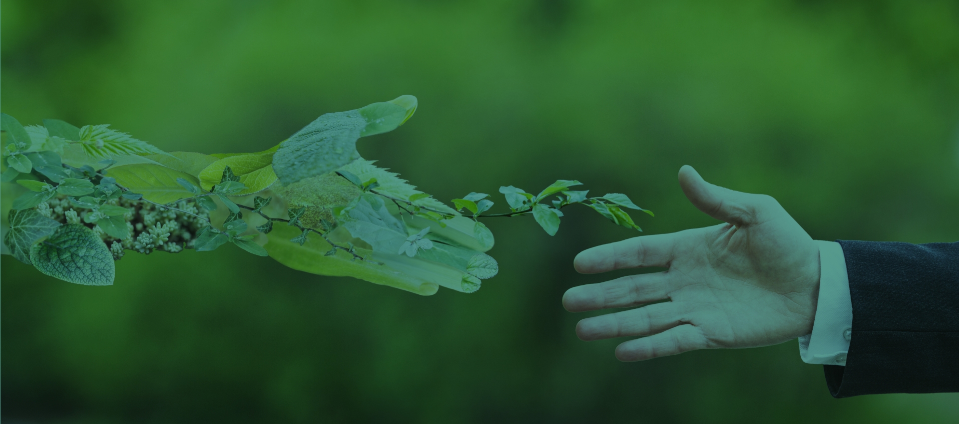 Social Innovation Business Solutions