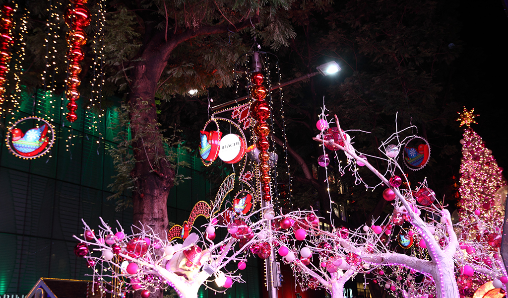Christmas Light-Up 2012