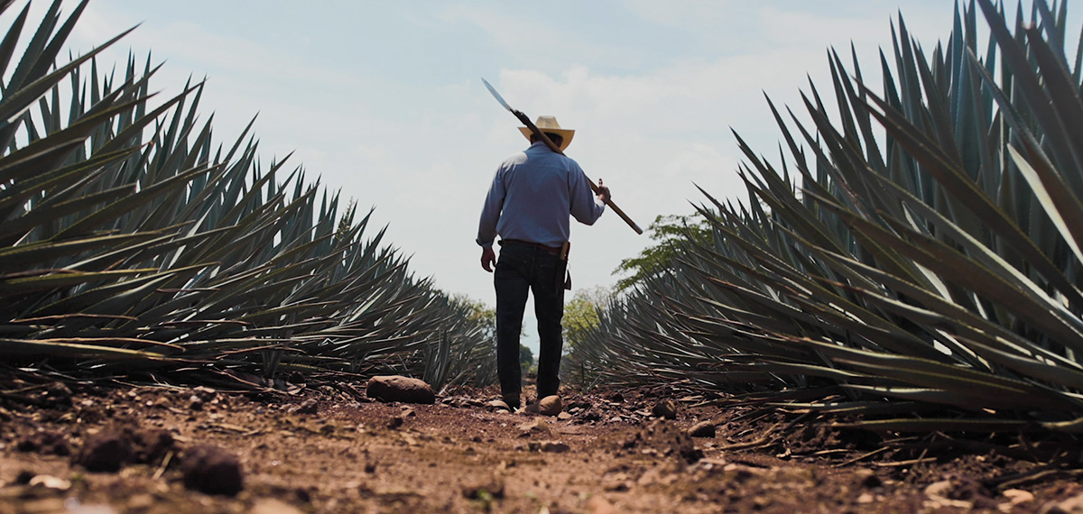 smart city tequila