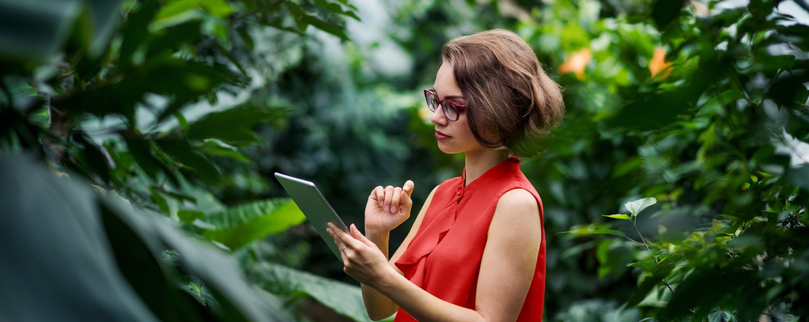 Green Technologies for Sustainable Social Innovation