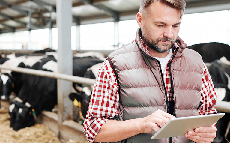 smart farming and agriculture with internet of the living things