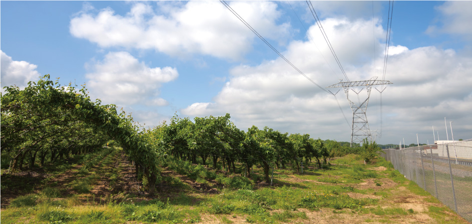 renewable energy storage systems
