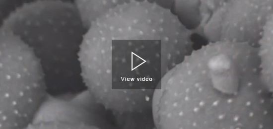 High-Tech Microscopes Inspire Students in the USA