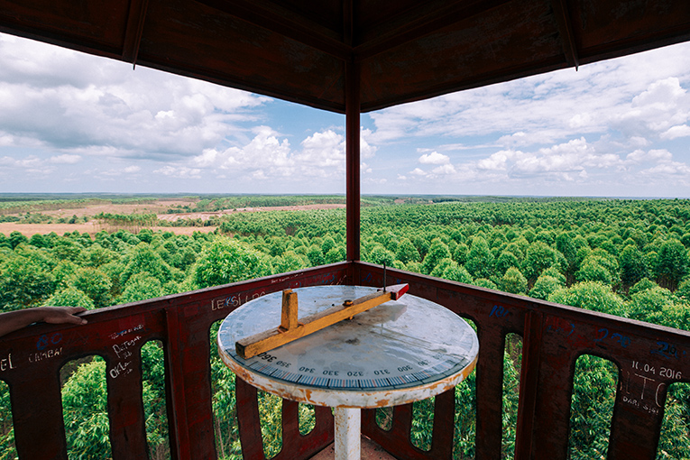 Hitachi digital shift in the reforestation