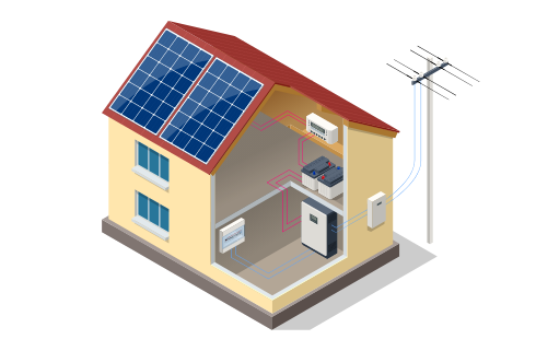 Green Energy Solutions in India
