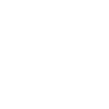 Passenger