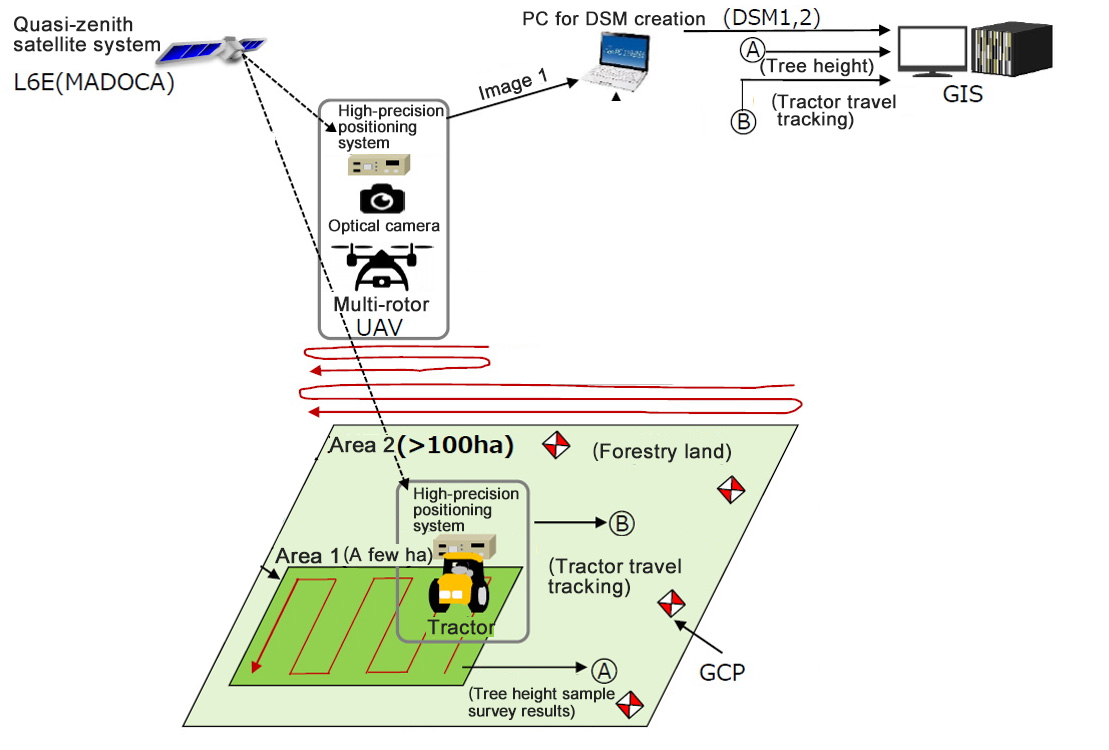 smart satellite-based tree demography measuring