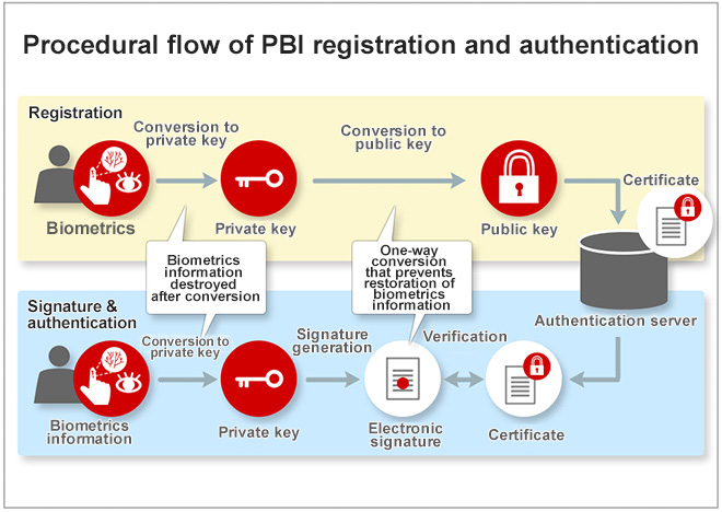 Hitachi PBI process flow